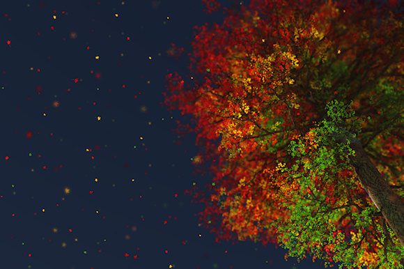 Looking up through the branches of a towering tree in autumn. The falling leaves of burgundy, red, gold, orange, yellow, and blue sparkle against the deep blue sky.