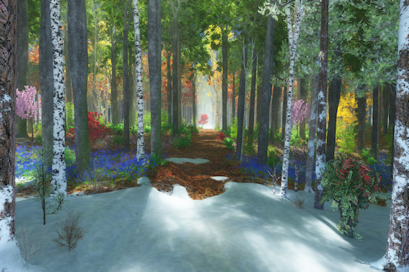 A forest walk through the seasons, from winter snow, to spring bluebells and azaleas, to summer green and clover, to the bright yellows and oranges of autumn leaves, and back to snow. A bright red autumn tree marks the end of the perspective back to winter again.